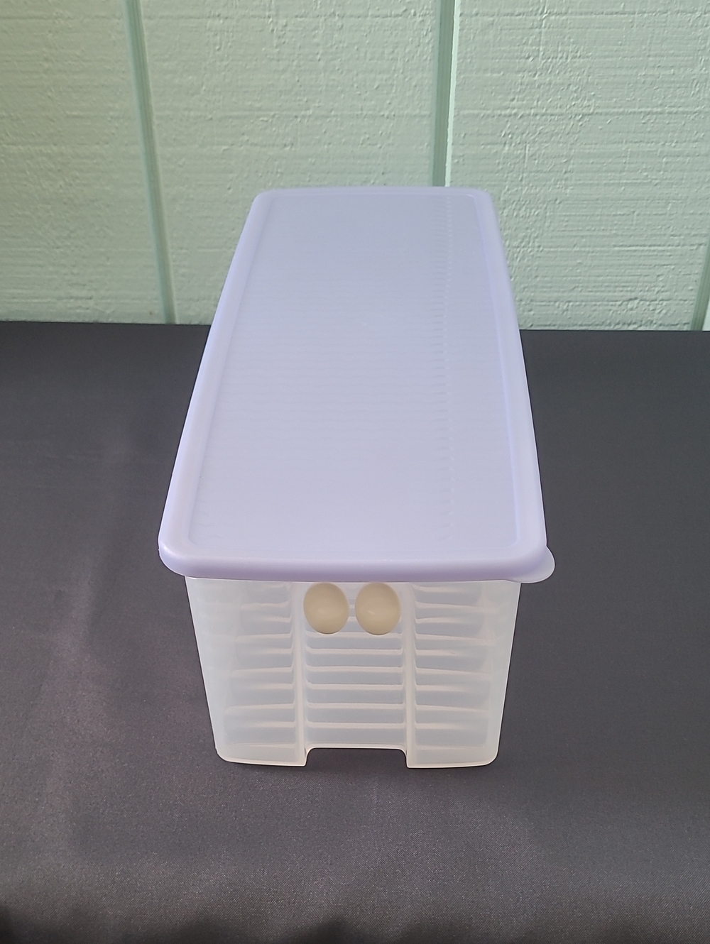 Tupperware Fridge Smart Retired Celery Carrots